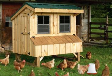 quaker chicken coop with chickens