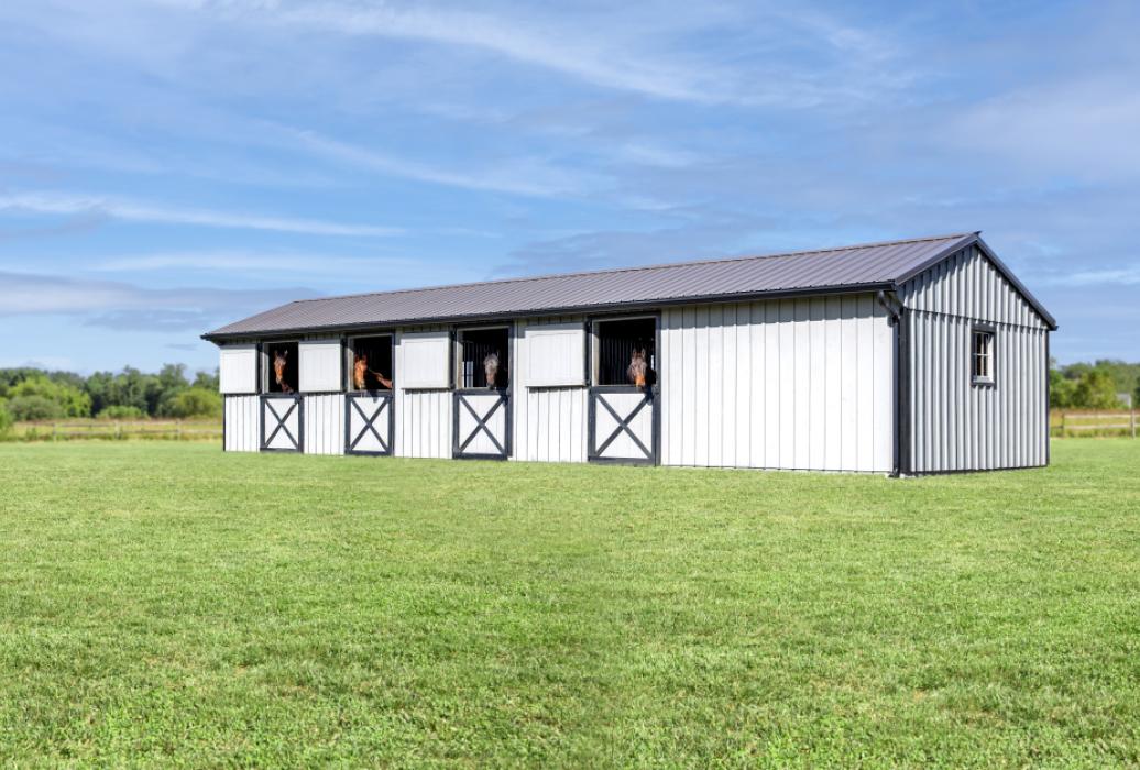 15x50 horse barn 15x50 horse barn