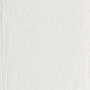 White Color Swatch 