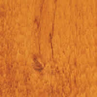 Stain - Cedar