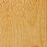 Stain - Natural