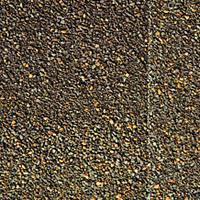 Walnut Brown