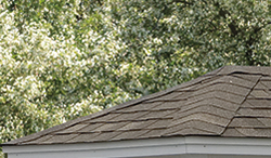 Asphalt Shingles