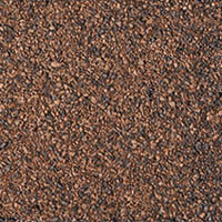 Autumn Brown