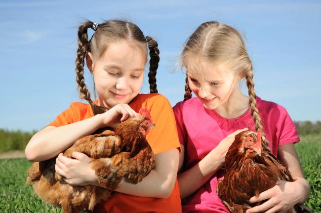 Children with Chickens