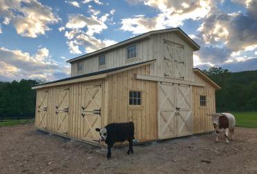 LARGE BARN-TWO STORY HORSE BARN-Monitor barns-2