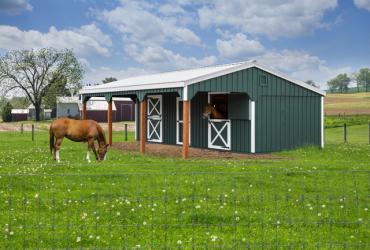 12x30 Horse Barn w 10ft hinged Lean to