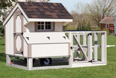 Chicken Coop