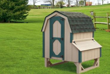 Chicken Coop