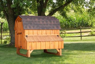 Chicken Coop