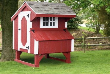 Chicken Coop