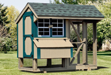 Chicken Coop