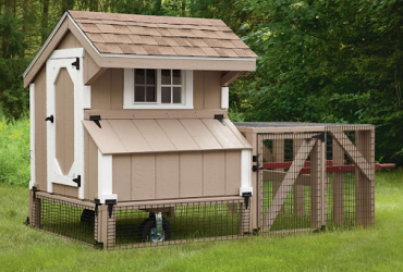 Chicken Coop