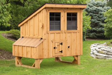 Chicken Coop