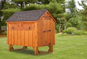 Chicken Coop