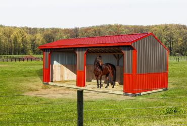 12X24 run-in-shed