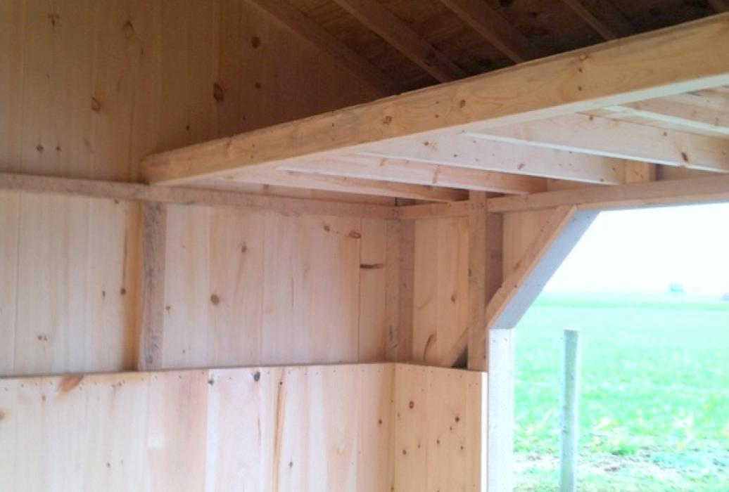 alpaca run in shed interior view