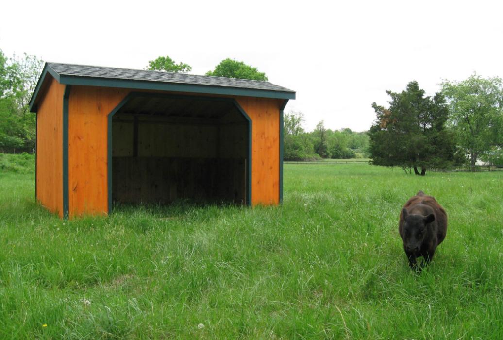 Board and Batten Run In-14