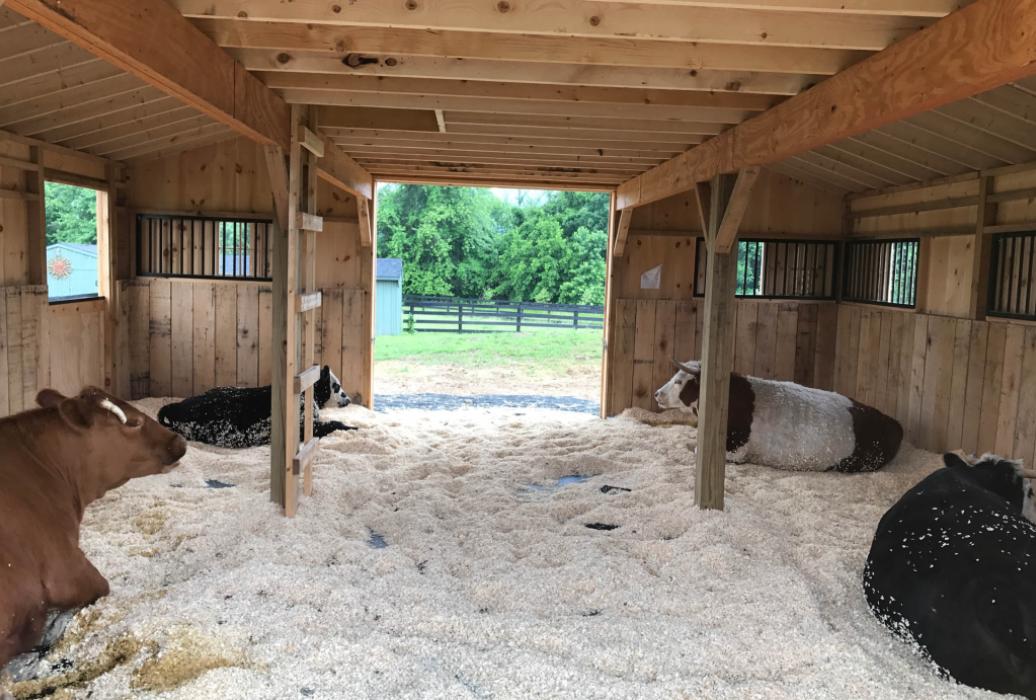 Monitor Barns | Lancaster County Barns
