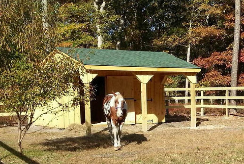 horsebarn with overhang -4 horsebarn with overhang -4