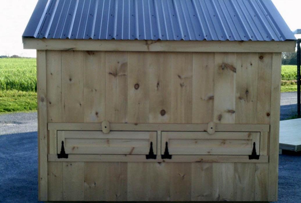 Custom Chicken Coop -Board and Batten Siding Lancaster