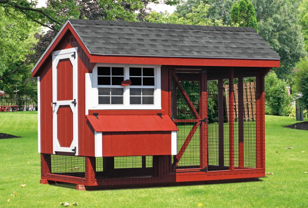OKC Council: Urban chickens OK; roosters need not apply