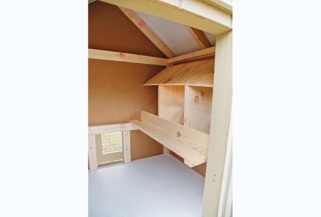 DT-A46C-(7) View of nesting box inside of combo chicken coop