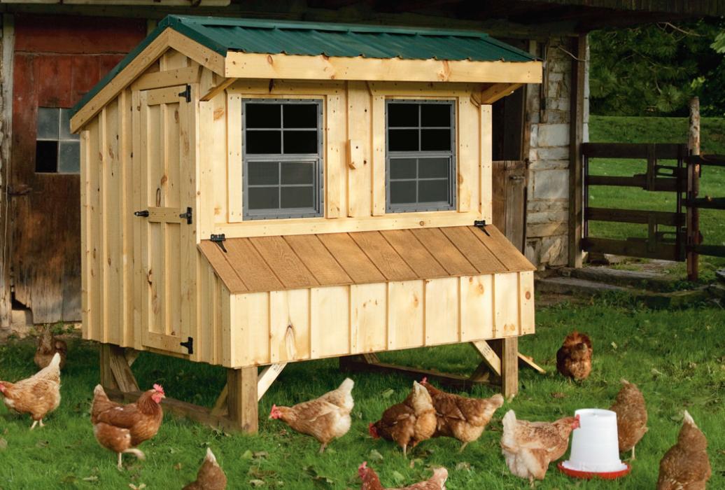 4 x6 Quaker Chicken Coop Q46 Lancaster County Barns