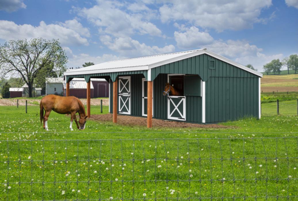 12x30 Horse Barn w 10ft hinged Lean to 12x30 Horse Barn w 10ft hinged Lean to