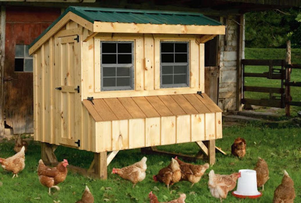 Chicken Coop