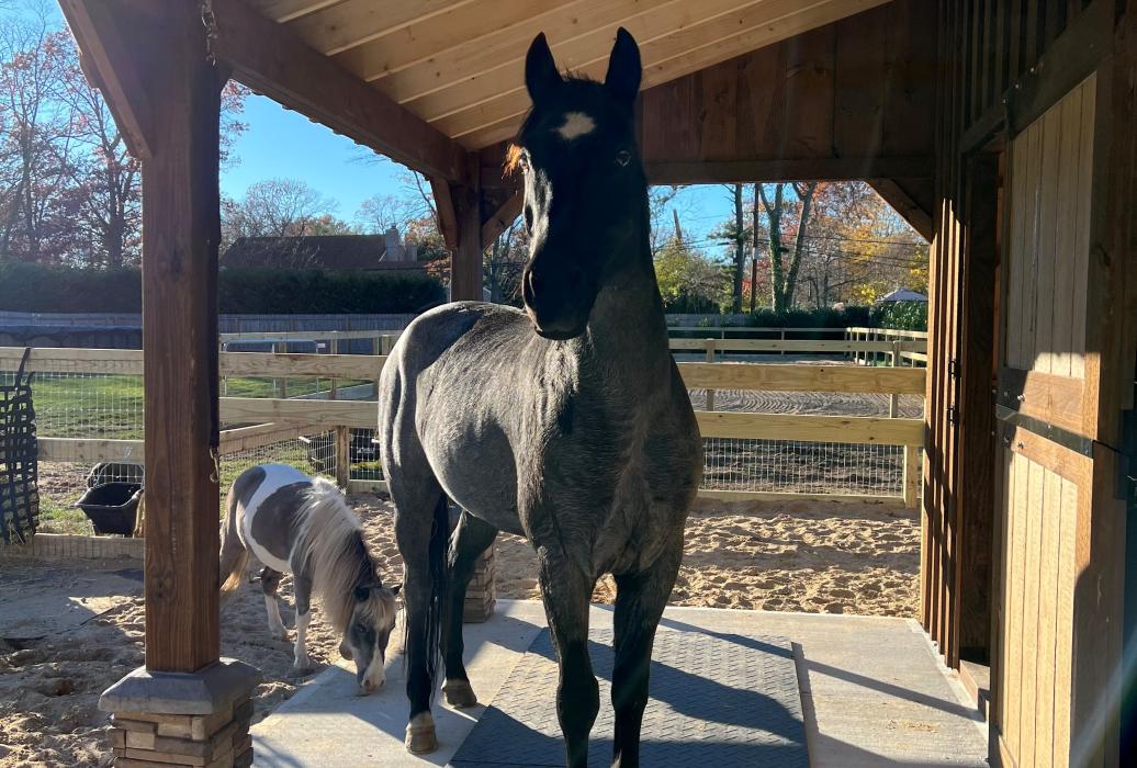 8' OVERHANG  8' overhang