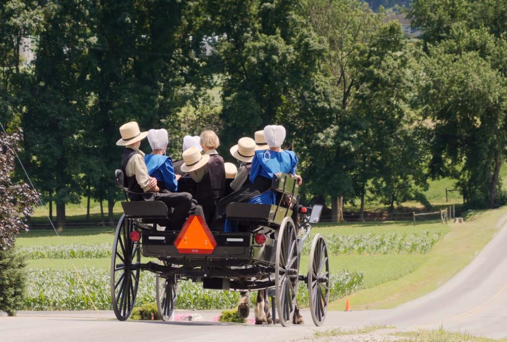 Amish family riding in an open top buggy