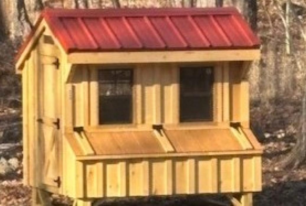 Chicken Coop (MAY/June 2025)