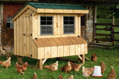 Chicken Coop