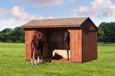 board and batten horse run-in shed