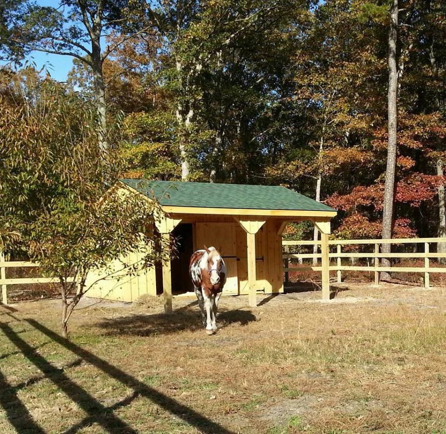 Custom Horse Barn